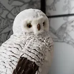 Hotel Chouette Paryż