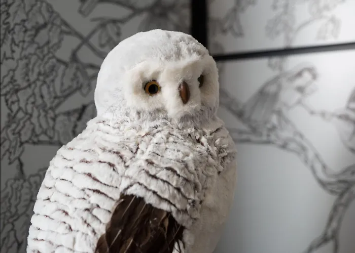 호텔 슈에트 파리